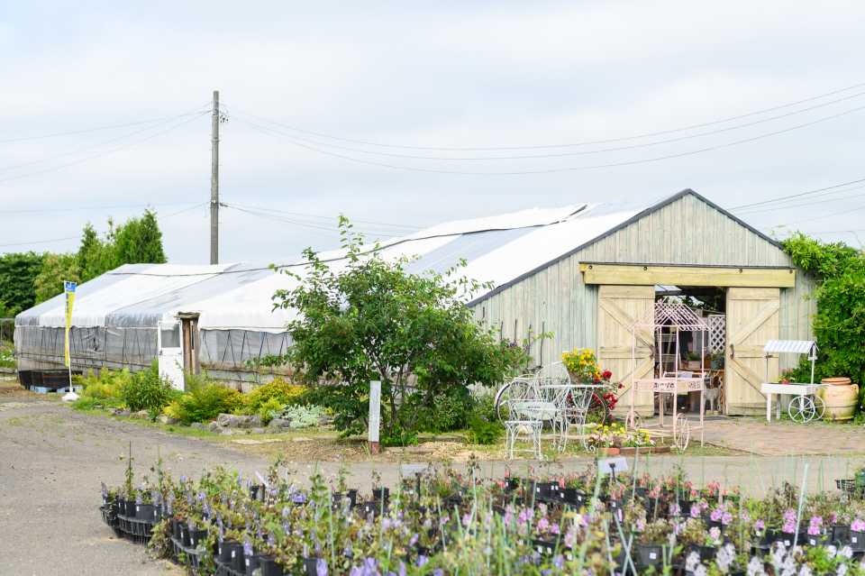 創業者・哲夫さんが花の栽培をはじめたビニールハウス。今は雑貨売り場として使われている。