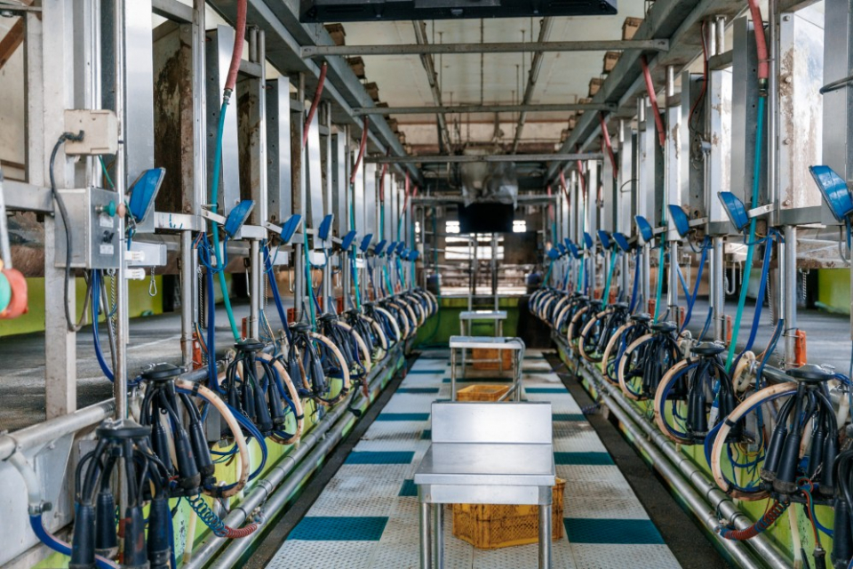 牛舎からつながる搾乳室