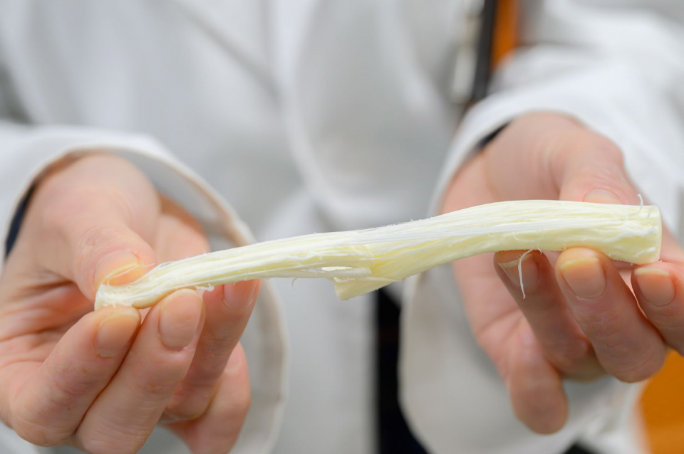 創業からの人気商品・さけるチーズ「二世古 白樺【shirakaba】」。脱脂せず全乳で作られているため柔らかく、フレッシュなミルクの風味も味わえる。